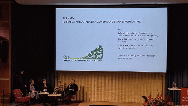 pcard_20251021_140534