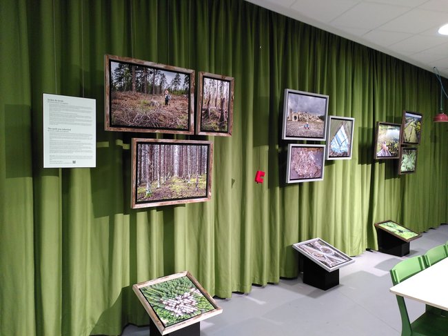 pcard_WhatsApp Image 2025-12-16 at 23.08.46